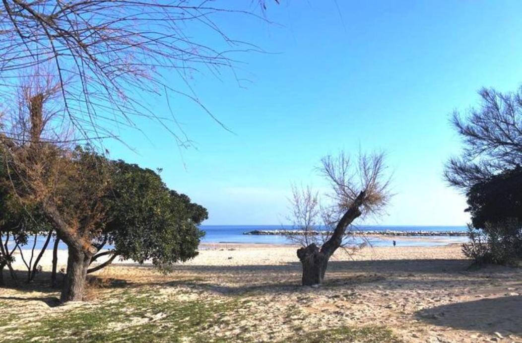 Dimora Mare Apartment Bari Luaran gambar